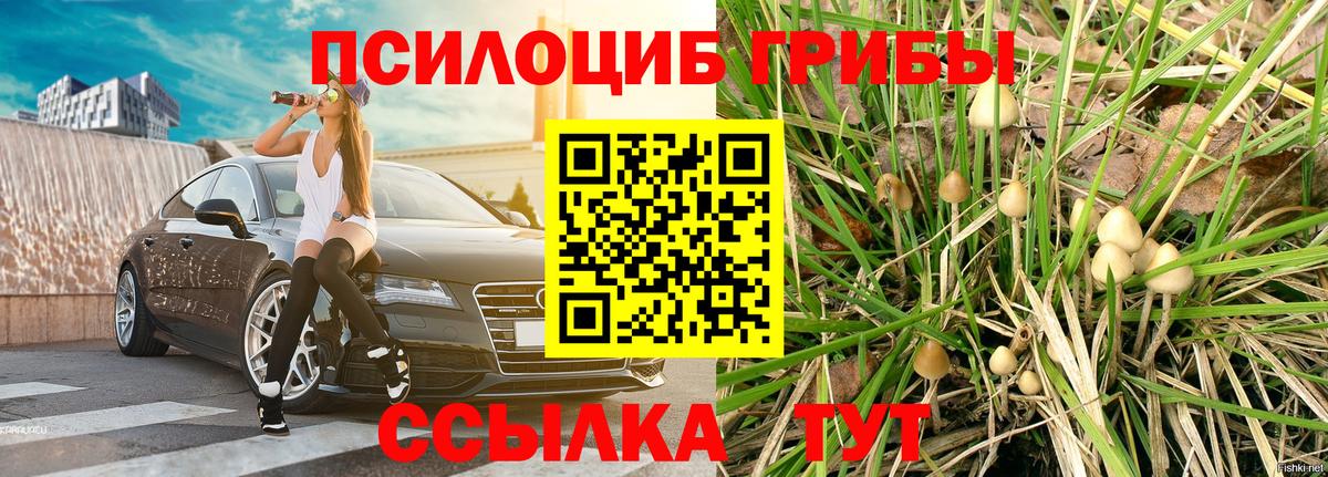 Троицк  Галлюциногенные грибы Psilocybe  Вход с VPN 